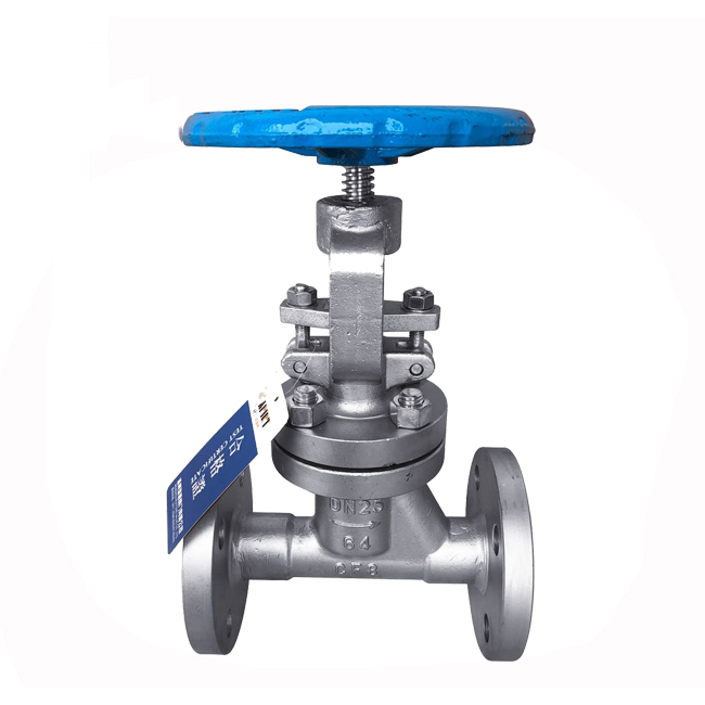 Stainless steel globe valve