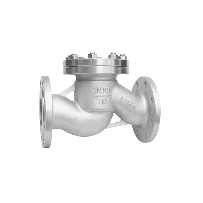 Lift type flange check valve