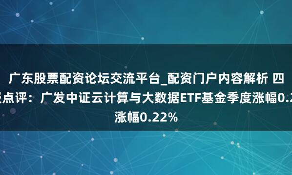 广东股票配资论坛交流平台_配资门户内容解析 四季报点评：广发中证云计算与大数据ETF基金季度涨幅0.22%
